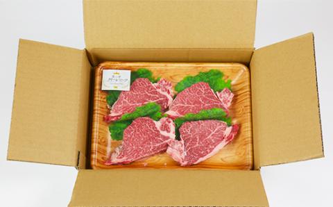 豊の香 クイーンビーフ ヒレステーキ 480g （120g×4枚）＜150-001_5＞