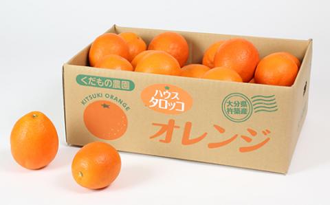 木戸農園のタロッコ（ブラッドオレンジ）約5kg（秀品）＜113-006_5＞