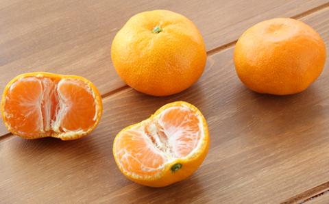 杵築産 温州みかん5kg（秀品） ／ ミカン みかん 蜜柑 柑橘類 5kg 11月 12月 1月 先行予約 温州みかん フルーツ ＜132-001＞