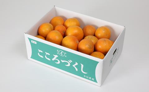 【訳あり・規格外品】今村農園のおひさまきらりん 約3kg＜107-017_7＞ 3kg