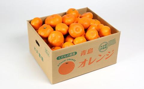 【訳あり・規格外品】木戸農園の青島 約10kg 高糖系温州みかん＜113-014＞