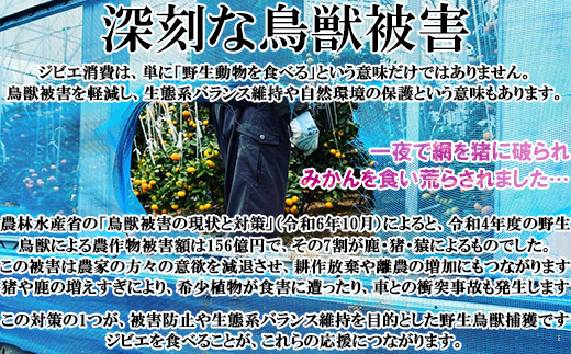 山香ジビエの郷 猪肉鹿肉1.8kgセット＜047-003_7＞