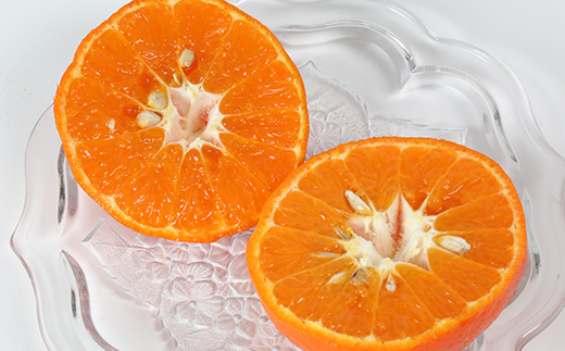 【訳あり・規格外品】野菜ソムリエ石児さんの「アンコール 3.5kg」 ミカン みかん 蜜柑 柑橘 3.5kg 訳あり 甘い 柑橘類 アンコール アンコールオレンジ フルーツ 先行予約 ＜103-017＞