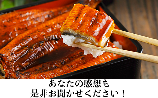 ＜定期便(毎月)全3回＞完全無投薬養殖！大分水産の温泉うなぎ蒲焼（カット）70g×4  ＜104-801＞