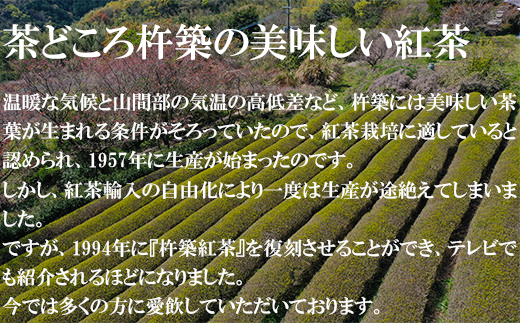 きつき紅茶 べにふうき 12ティーバッグ×5袋 ＜106-002_5＞