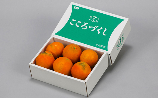 【訳あり・優品】今村農園のおひさまきらりん 約2kg フルーツ みかん 果物 先行予約 ＜107-018_7＞ 2kg