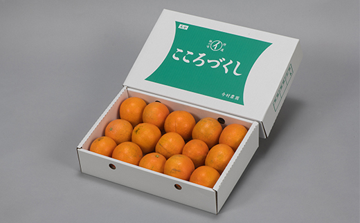 【訳あり・優品】今村農園のおひさまきらりん 約3.5kg フルーツ みかん 果物 先行予約 ＜107-019_7＞ 3.5kg