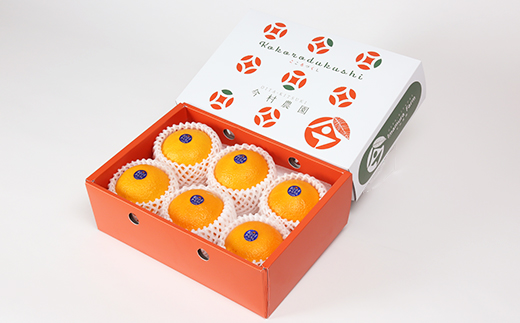 今村農園のおひさまきらりん 約1.5kg【秀品】フルーツ みかん 果物 先行予約 ＜107-023_7＞ 1.5kg