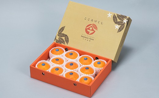 今村農園のおひさまきらりん 約2.5kg【秀品】 フルーツ みかん 果物 先行予約 ＜107-024_6＞ 2.5kg