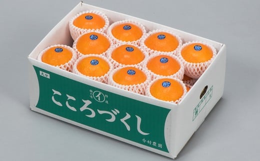 今村農園のおひさまきらりん 約5kg【秀品】 フルーツ みかん 果物 先行予約 ＜107-025_7＞ 5kg