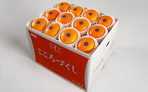 今村農園のおひさまきらりん 約10kg【秀品】 フルーツ みかん 果物 先行予約 ＜107-026_7＞ 10kg