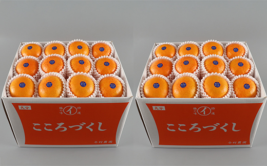 今村農園のおひさまきらりん 約20kg【秀品】 フルーツ みかん 果物 先行予約 ＜107-027_7＞ 20kg