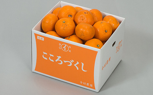 【訳あり・優品】今村農園の蔵姫くらひめ（紅甘夏） 約7kg フルーツ みかん 果物 先行予約 ＜107-030_7＞ 7kg