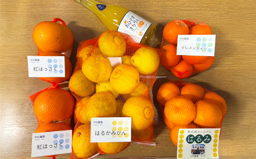 今村農園のみかん4種（計約8kg）とおひさまきらりん 生搾り100%ジュースセット フルーツ みかん 果物 先行予約 ＜107-041_5＞