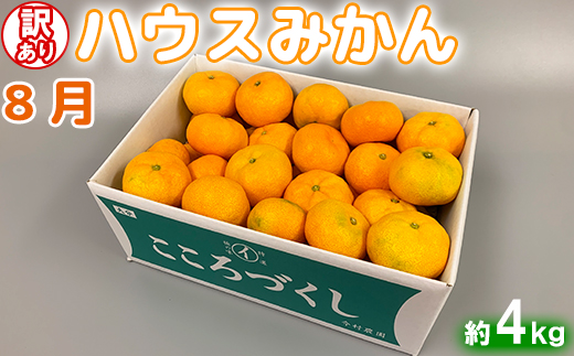 今村農園の訳ありミカンとジュースの定期便（４月・６月・８月）【たっぷりコース】＜107-804_7＞