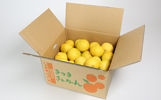 【訳あり品】阿部農園の「はるか 約7.5kg」 ／ ミカン みかん 蜜柑 柑橘類 はるか 先行予約 3月 訳あり 数量限定 フルーツ 黄色いみかん ＜112-010＞