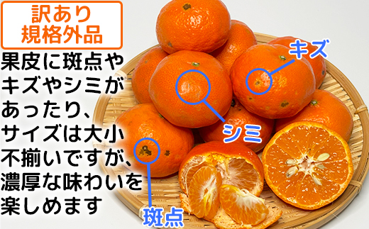 【訳あり・規格外品】木戸農園のアンコール 約5kg＜113-002_5＞