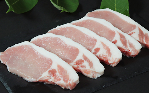 大分県産 米の恵み豚 とんかつ用ロース 計900g（450g×2p） 国産 人気 冷凍 豚肉 米の恵み とんかつ ロース ＜130-018_6＞