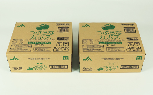 つぶらなカボス 60本（30本入×2ケース） 190g ／ つぶらな つぶらなカボス ジュース かぼすドリンク 清涼飲料水 人気 子供 おすすめ 果汁飲料 ご当地ジュース かぼす 飲料 60本 詰めあわせ ギフト プレゼント セット 贈答 家庭用 JAフーズおおいた ＜131-201＞