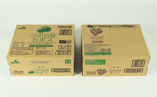 つぶらなカボス30本＋つぶらなブドウ30本（計60本・各1ケース）190g ／ つぶらな つぶらなカボス つぶらなブドウ ジュース かぼすドリンク 清涼飲料水 人気 子供 おすすめ 果汁飲料 ご当地ジュース かぼす ぶどう ぶどうジュース 飲料 60本 飲み比べ 詰めあわせ ギフト プレゼント セット 贈答 家庭用 JAフーズおおいた ＜131-204＞