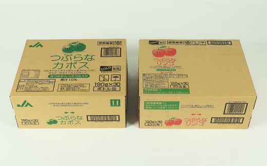 つぶらなカボス30本＋つぶらなリンゴ30本（計60本・各1ケース）190g ／ つぶらな つぶらなカボス つぶらなリンゴ ジュース かぼすドリンク 清涼飲料水 人気 子供 おすすめ 果汁飲料 ご当地ジュース かぼす りんご りんごジュース 飲料 60本 飲み比べ 詰めあわせ ギフト プレゼント セット 贈答 家庭用 JAフーズおおいた ＜131-205＞