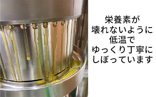 【12月24日決済分まで年内発送】エゴマオイル(EGOMA OIL) 100g 無農薬栽培 低温直圧搾油法 大分県産＜143-005_5＞