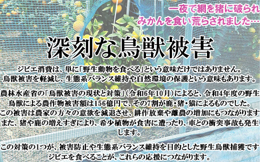 山香アグリのジビエふるさとCセット（猪ハム・ウインナー、鹿ウインナー）＜145-003_5＞