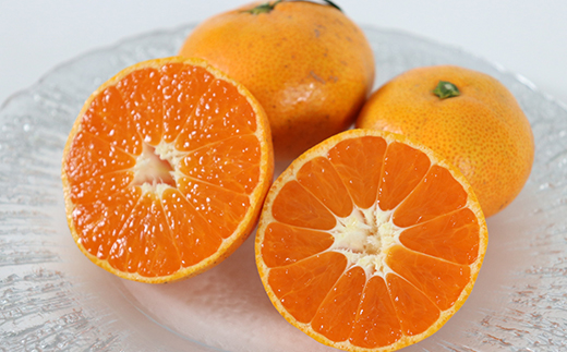 【訳あり品】森農園の温州みかん 尾崎 9kg＋傷み補償分200g ／ ミカン みかん 蜜柑 柑橘 9kg 柑橘類 訳あり フルーツ 温州みかん 12月 12月発送 12月配送 年内発送 年内配送 ＜162-001＞