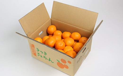 【訳あり品】阿部農園の「はるみ 約6kg」 ／ ミカン みかん 蜜柑 柑橘類 はるみ 先行予約 2月 訳あり 数量限定 フルーツ ＜112-008＞
