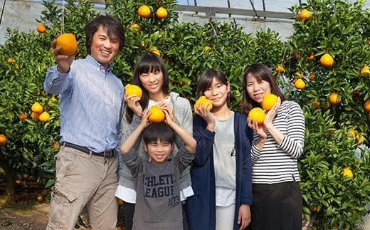 【12月24日決済分まで年内発送】【訳あり・規格外品】野菜ソムリエ石児さんの「温州みかん 12kg（6kg×2箱）」ミカン みかん 蜜柑 柑橘 12kg 柑橘類 訳あり 甘い 温州みかん フルーツ 年内配送 年内発送 12月発送 12月配送 12月＜103-032＞