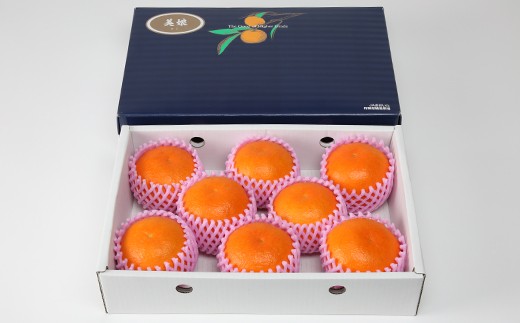 ハウス美娘 約2.5kg（化粧箱入） ／ ミカン みかん 蜜柑 柑橘類 美娘 オレンジ 2.5kg 先行予約 甘い フルーツ ＜132-002＞