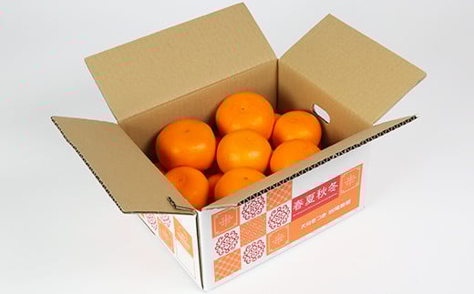 岩尾農園の温室栽培せとか 特選 約3kg 先行予約 果物 柑橘類 みかん ミカン ＜066-004_5＞