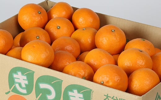 南津海[なつみ] 4kg ／ ミカン みかん 蜜柑 柑橘類 南津海 4kg 先行予約 フルーツ ＜132-009＞