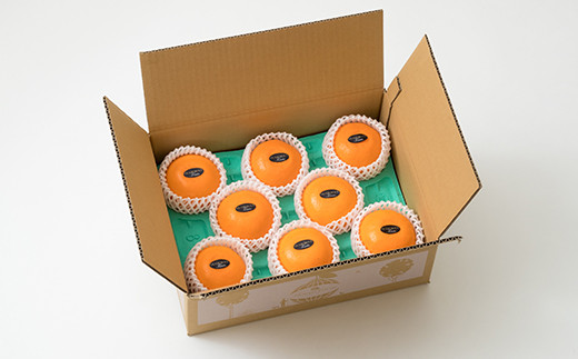 野菜ソムリエ石児さんの「特選 せとか 2.5kg」  ミカン みかん 蜜柑 柑橘 2.5kg 柑橘類 せとか フルーツ 贈答 2月 3月 先行予約 ＜103-015＞