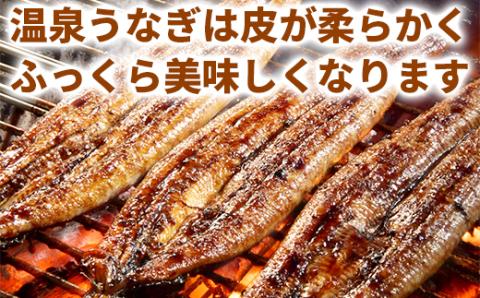 完全無投薬養殖！大分水産の温泉うなぎ蒲焼（カット）70ｇ×2 お試しにどうぞ！ ＜104-001_5＞ 70g×2