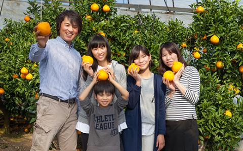 【12月21日決済分まで年内発送】【訳あり・規格外品】野菜ソムリエ石児さんの「温州みかん 10kg」 ミカン みかん 蜜柑 柑橘 10kg 柑橘類 訳あり 甘い 温州みかん フルーツ 年内配送 年内発送 12月発送 12月配送 12月 ＜103-005＞