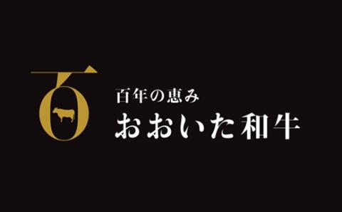 【12月26日決済分まで年内発送】おおいた和牛 すき焼き用希少部位 ブリスケスライス 2.4kg【匠牧場】 ＜102-022_5＞
