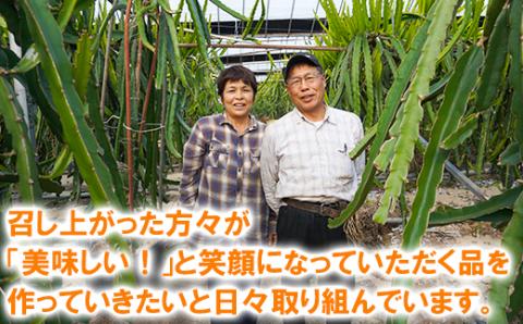 【訳あり・規格外品】木戸農園の青島 約10kg 高糖系温州みかん＜113-014＞