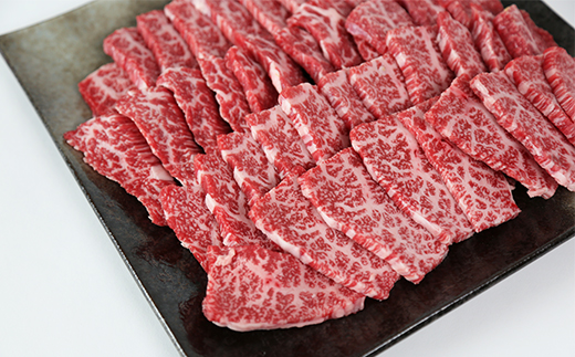 おおいた豊後牛ロース焼肉用700g ＜105-010_5＞