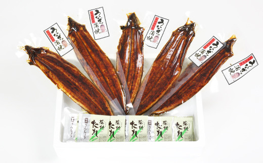 温泉うなぎ蒲焼 5尾（120gサイズ） 国産うなぎ ＜104-005_5＞