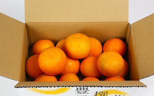 【年内発送】【訳あり・規格外品】九州のオレンジ「ハウス天草」約3～3.3kg＜114-003_5＞