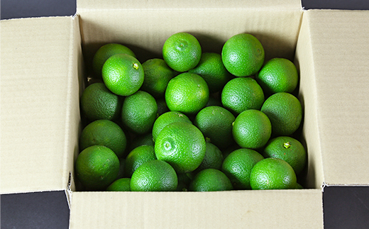 オレンジ農園のかぼす 約4kg（大分県杵築市産） ＜114-004_5＞