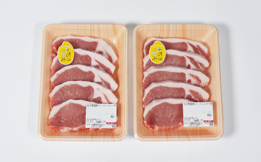 大分県産 米の恵み豚 とんかつ用ロース 計900g（450g×2p） 国産 人気 冷凍 豚肉 米の恵み とんかつ ロース ＜130-018_6＞