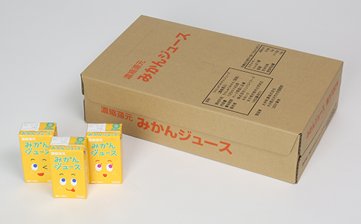 果汁100％ 紙パック みかんジュース 125ml×40本＜131-010＞