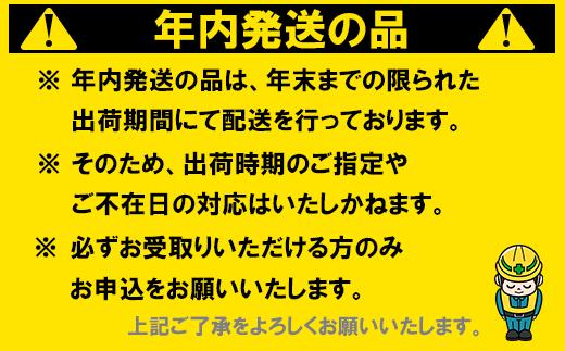 【12月24日決済分まで年内発送】【訳あり・規格外品】野菜ソムリエ石児さんの「温州みかん 12kg（6kg×2箱）」ミカン みかん 蜜柑 柑橘 12kg 柑橘類 訳あり 甘い 温州みかん フルーツ 年内配送 年内発送 12月発送 12月配送 12月＜103-032＞