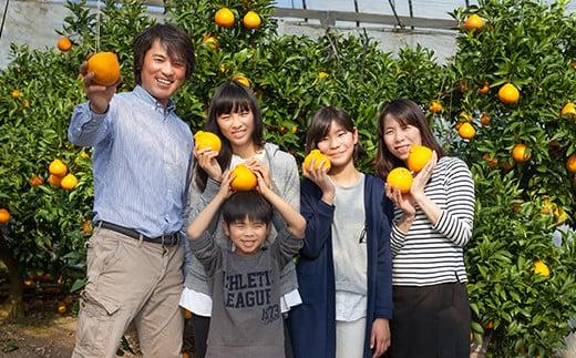 【12月21日決済分まで年内発送】【訳あり・規格外品】野菜ソムリエ石児さんの「温州みかん 6kg」 ミカン みかん 蜜柑 柑橘 6kg 柑橘類 訳あり 甘い 温州みかん フルーツ 年内配送 年内発送 12月発送 12月配送 12月 ＜103-031＞