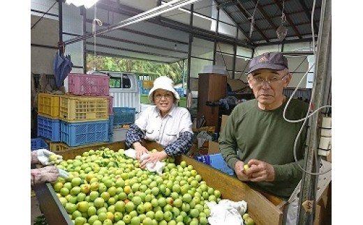 ひらそ農園の完熟南高梅の梅干し　2.5kg（塩分約20%） 梅干し 国産 南高梅 2キロ 冷蔵便 クール便 ＜004-005＞