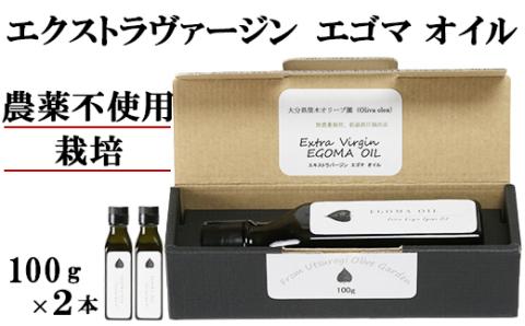 【12月24日決済分まで年内発送】エゴマオイル(EGOMA OIL) 100g×2本セット 無農薬栽培 低温直圧搾油法 大分県産＜143-006_5＞