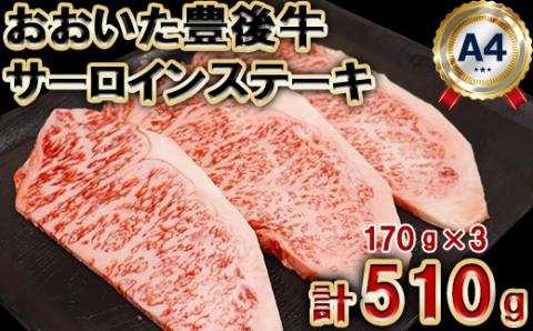 おおいた豊後牛サーロインステーキ510g（170g×3枚） ＜105-006_5＞