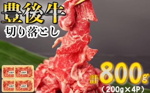 豊後牛切り落とし 計800g（200g×4p） お楽しみ 牛肉 お肉 すきやき 小分け ＜123-005_5＞